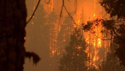 Pilot killed in air tanker crash while fighting Falls Fire in Malheur National Forest in Oregon