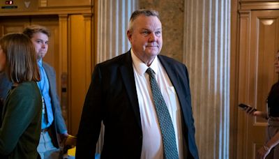 Tester on suggestion immigration bill support motivated by election-year politics: ‘Bulls—‘