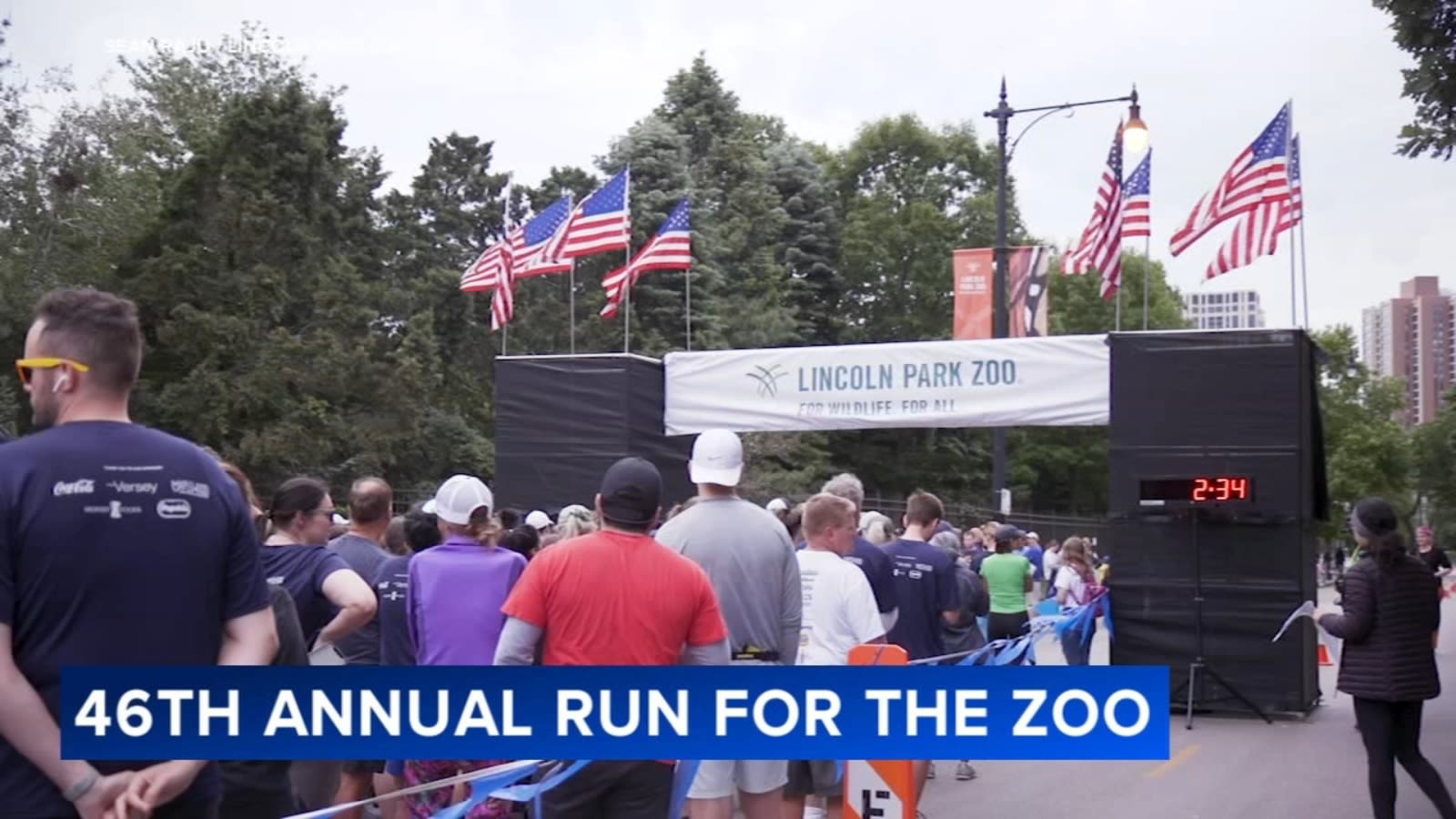 Thousands expected to participate in Lincoln Park Zoo's 46th Annual Run for the Zoo