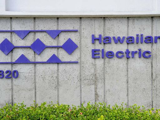 HEI finances stable as litigation swells | Honolulu Star-Advertiser