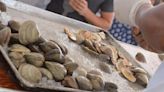 Butter clams cause shellfish poisoning in WA resident