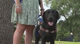 Blind woman’s guide dog denied entry to church