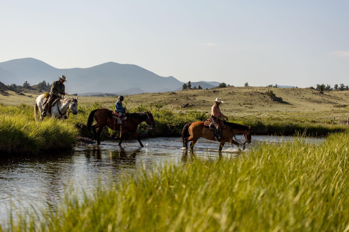 A Ranch Where Quality Beef Production And Biodiversity Coexist