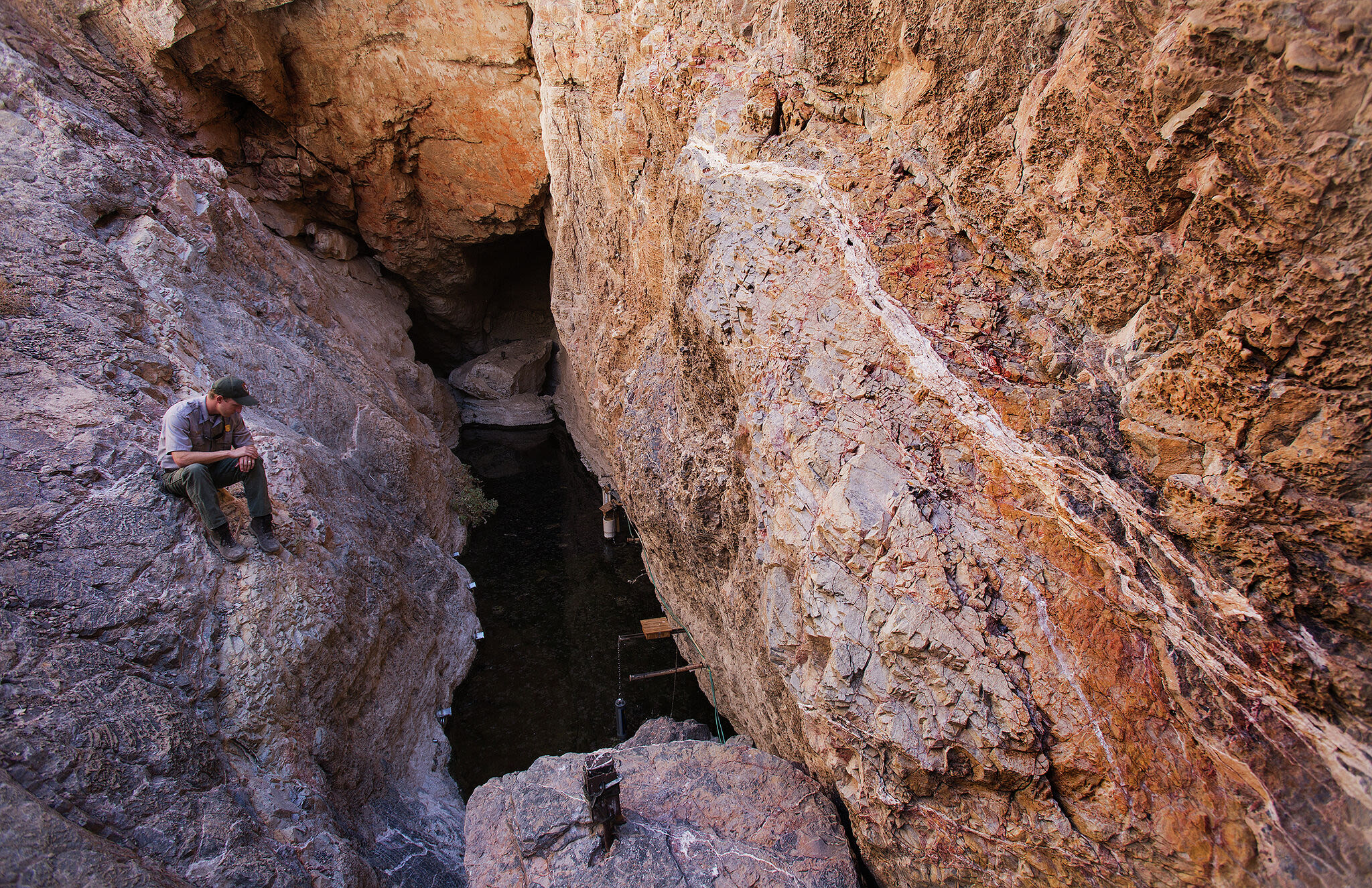 One of the rarest animals on Earth makes comeback in Death Valley