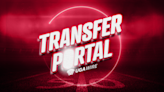 Georgia football OL enters transfer portal