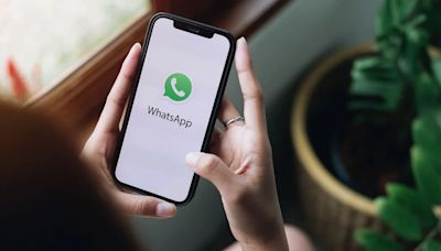 Actualiza WhatsApp en tu iPhone, estas son las novedades