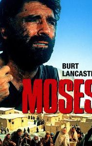 Moses the Lawgiver