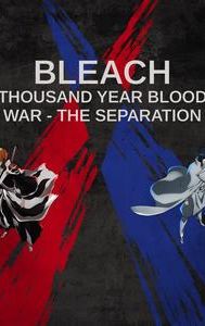 Bleach: Thousand Year Blood War - The Separation