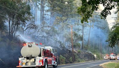 Fire crews battle blaze off McKenzie View Drive