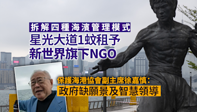 拆解四種海濱管理模式 星光大道1蚊租予新世界旗下NGO 保護海港協會徐嘉慎：政府缺願景及智慧領導｜Yahoo