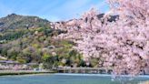 10 best hotels in Kyoto for viewing cherry blossoms