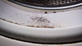 Remove washing machine black mould stains with excellent 35p item cleaner loves