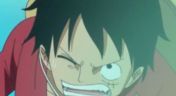 46. Luffy Loses the Fight?! Hordy's Long Awaited Revenge!