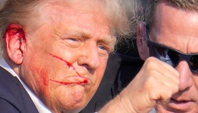 Donald Trump could have hit been by shrapnel during assassination attempt, FBI director says