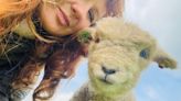 Woman breeding adorable sheep to help prevent their extinction