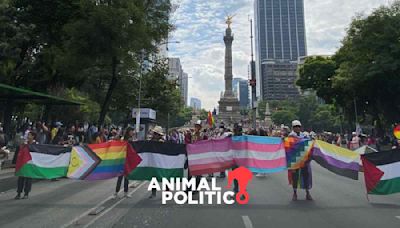 Apoyo a Palestina, a infancias Trans y contra la violencia: las consignas de la marcha LGBT en CDMX