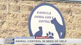 Animal control in need of emergency dog fosters