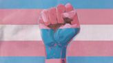 'A revolução no Brasil é travesti': o que é traviarcado e como a luta trans quer mudar o mundo