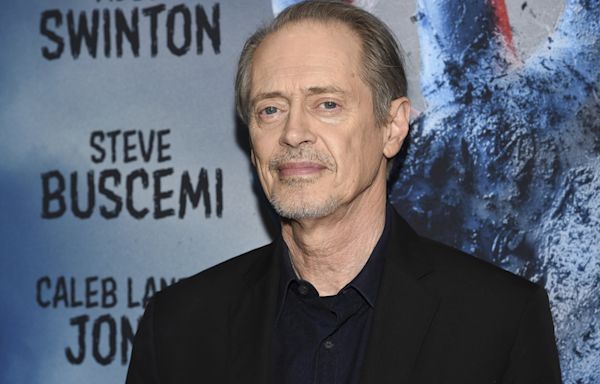 Actor Steve Buscemi is OK after being punched in the face in New York City - WTOP News