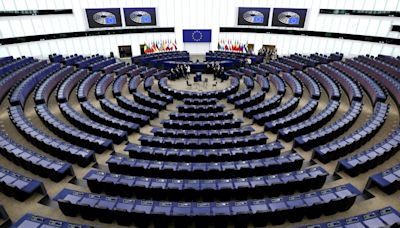 Far right to seek greater influence in EU parliament