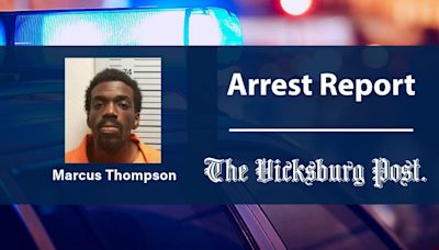 Overnight manhunt ends in arrest of person of interest in Texas homicide - The Vicksburg Post
