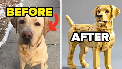 I Made A LEGO Set Generator That Turns YOUR Pet Into LEGO And The Results Are Shockingly Good, TBH — You Can...