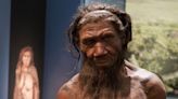 Early risers may have inherited a faster body clock from Neanderthals