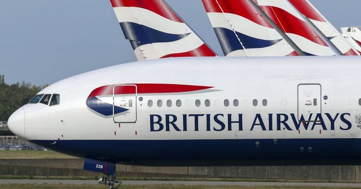 British Airways cancels all flights on 'one of its most important routes'