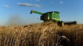 Analysis-US wheat farmers face bleak crop economics as grain oversupply hits