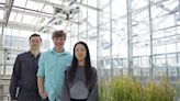 Iowa State researchers identify genes linked to rice resiliency