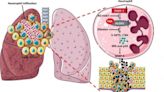 Breaking bad blood: how rogue neutrophils help lun | Newswise