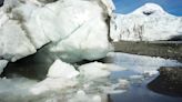 Alarma por disminución récord de hielo marino de Antártida