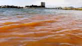 Qué pasa si me meto al mar con marea roja