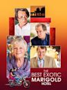 Best Exotic Marigold Hotel