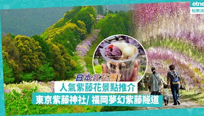 紫藤花｜日本踏入紫藤花季！最美賞花地點公開︰東京紫藤神社、CNN加持紫花森林、福岡夢幻紫藤隧道 | Katty - 主場·日本