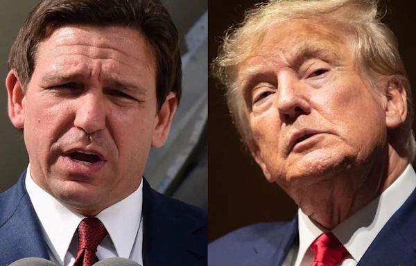 Ron DeSantis, Donald Trump connected as fellow 'dads' during high-stakes meeting