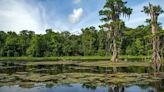 El manantial de agua dulce más grande del planeta se encuentra en Florida