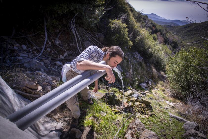 Environmentalists urge California wildlife officials to investigate bottled water operation