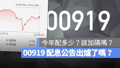 00919 配息公告出爐沒？配息多少？該加碼嗎？這裡告訴你