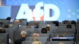 Germany's AfD hits record high in poll after budget chaos