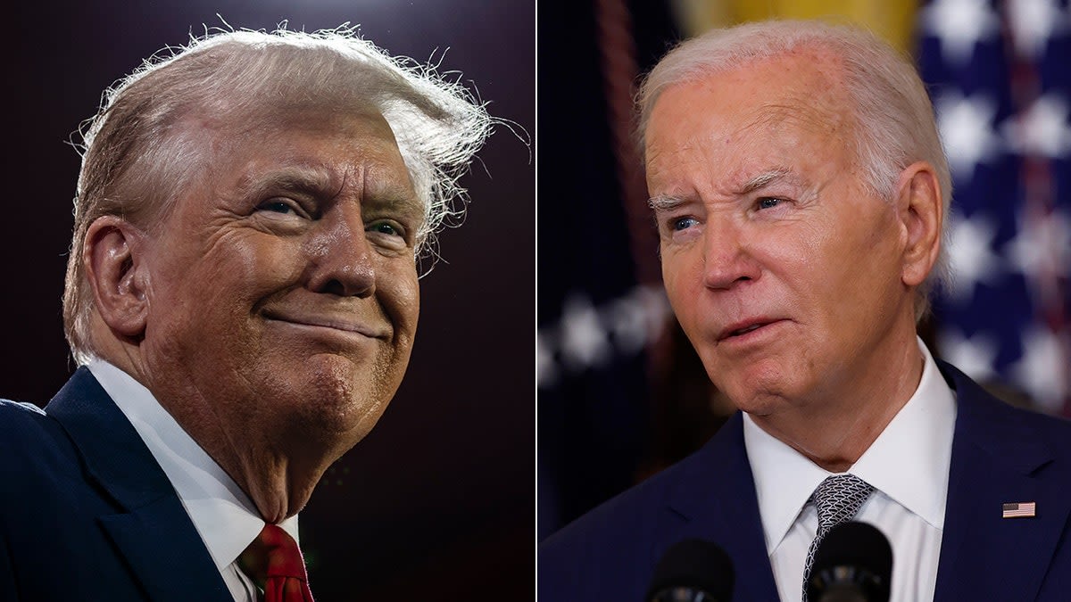 MSNBC's election polling expert highlights Trump's surge in favorability ratings over Biden: 'A sizable gap'