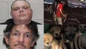 2 arrested for tossing puppies out of a car, abandoning them at Georgia church