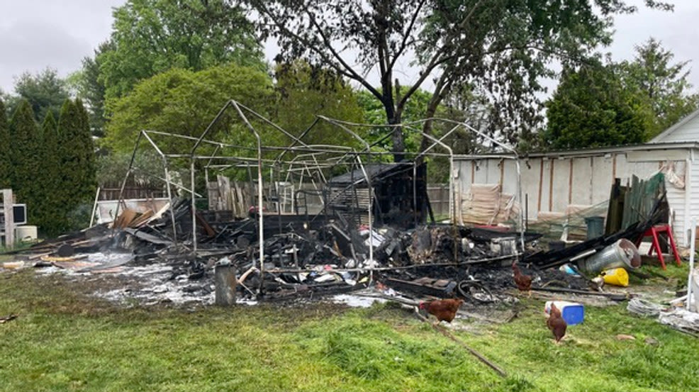 22 chickens and chicks escape fire in coop at Harford County home, guinea pig dies