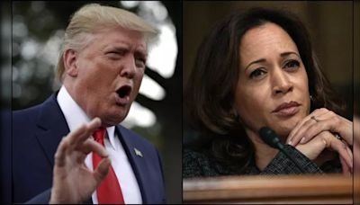 US Political Forecaster, Known For Accurate Predictions Since 1984, Predicts Kamala Harris Will Win 2024 Election: WATCH