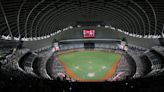 龍隊台北大巨蛋5場主場 累積破10萬觀眾入場