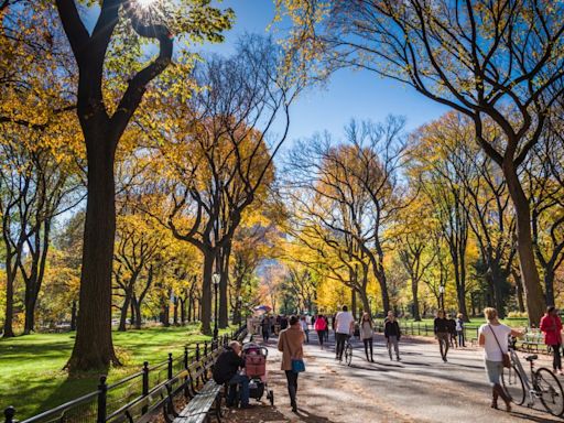 Fin de semana de temperaturas agradables para disfrutar del otoño en Nueva York