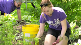 Annual Day of Caring at United Way of Greater Rochester