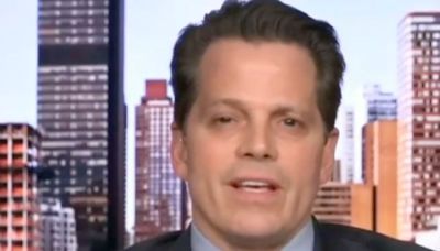 Anthony Scaramucci Gives 'No. 1 Reason' Why 'Alarmed' Republicans Are Hush On Trump