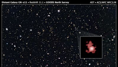 James-Webb-Teleskop entdeckt am weitesten entfernte bisher bekannte Galaxie