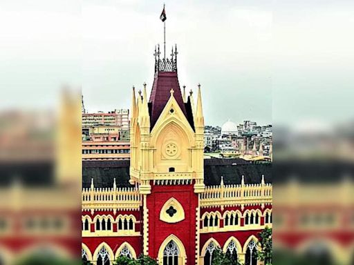 Calcutta High Court Lawyers Protest Against Police Assault in South 24 Parganas | Kolkata News - Times of India